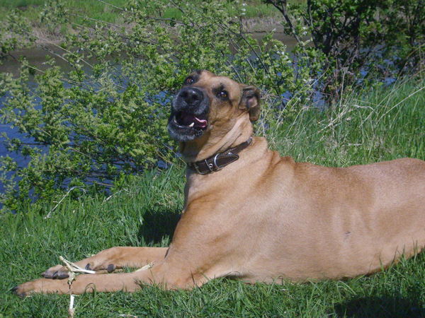 Валера Умняев