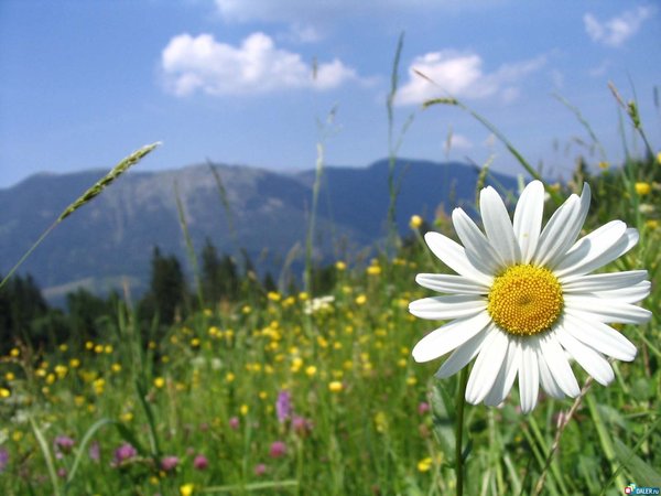 Наталья Владимировна