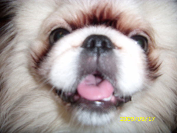 Наталья Чечина