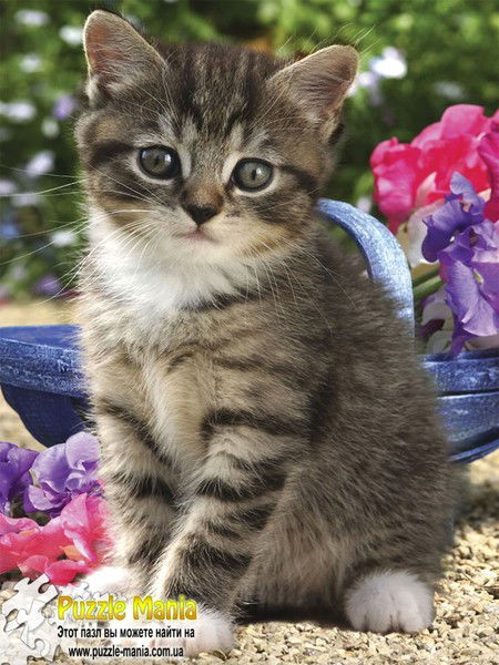 Марина Косьминова