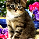 Марина Косьминова