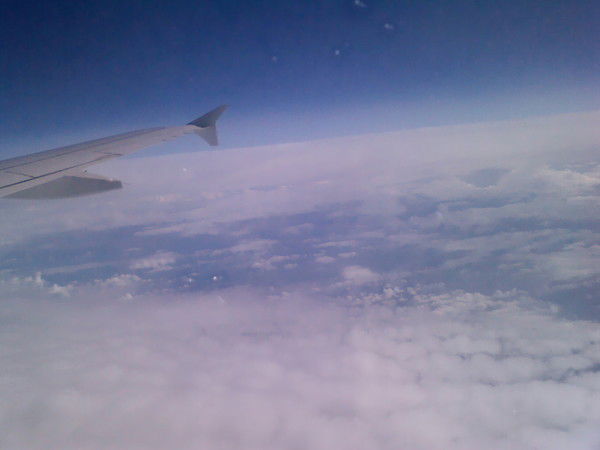 Николай Алексеев