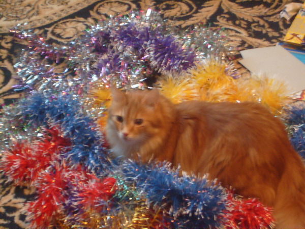 Снежана Николаева