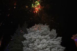 Ирина Ирина