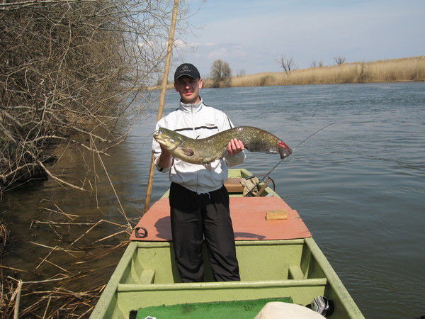 Неизвестно Неизвестно