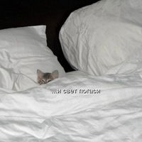 Элина Миннигалиева