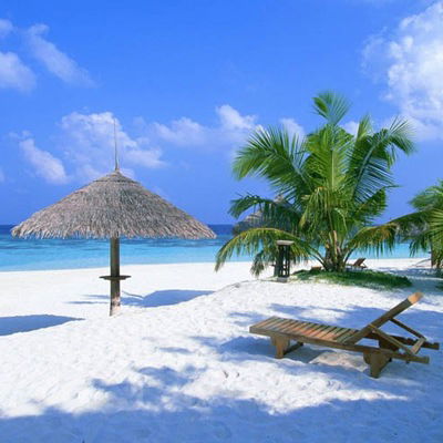 Виктория Поленок