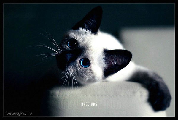 Оксана Икрамова