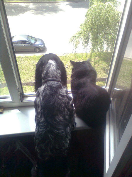 Евгений Толмачев