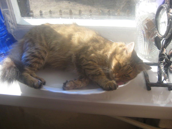 Иванова Наталья