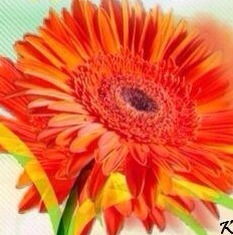 Ольга Быватова