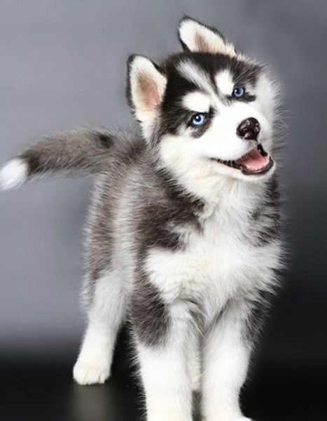 Азат Аминев