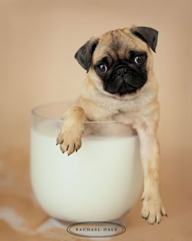 Влад Сосновский