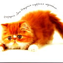 * *
