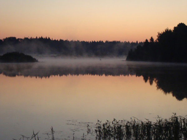 Валерий Кузнецов
