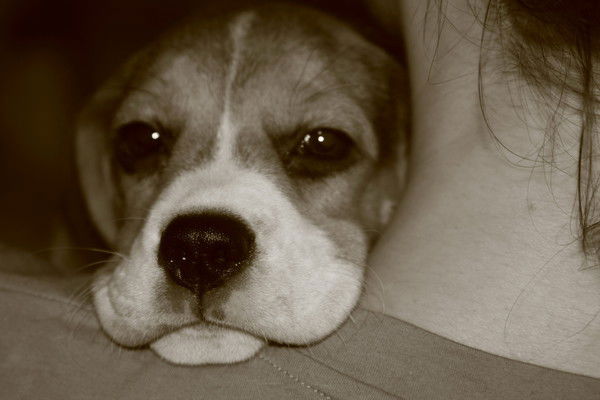 Екатерина Василенко