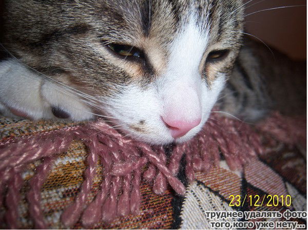 Весёлый Смайлик=Р