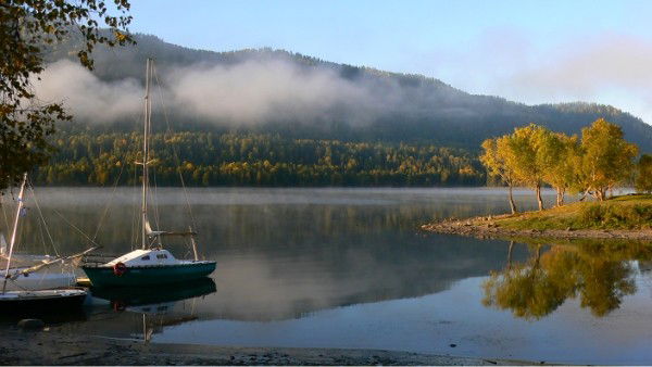 Андрей Аристархов