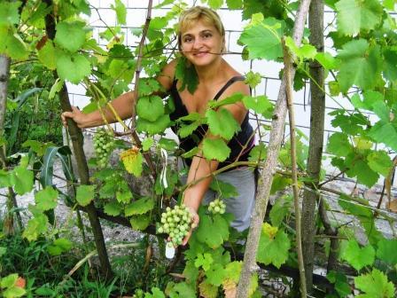 Татьяна Дмитриева