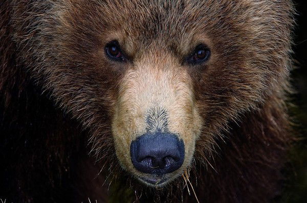 Алмас Мурзабаев