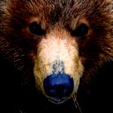 Алмас Мурзабаев