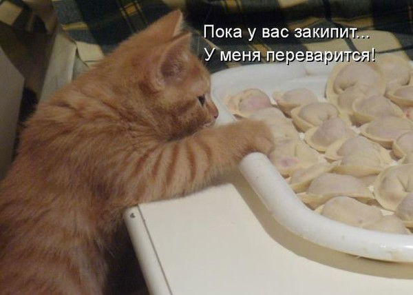 Ирина Филяева