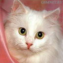 Нина Морозова