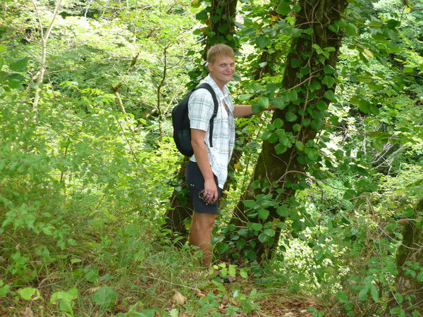 Алексей Новиков