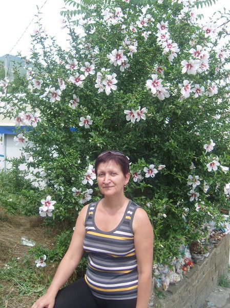 Алла Лобода