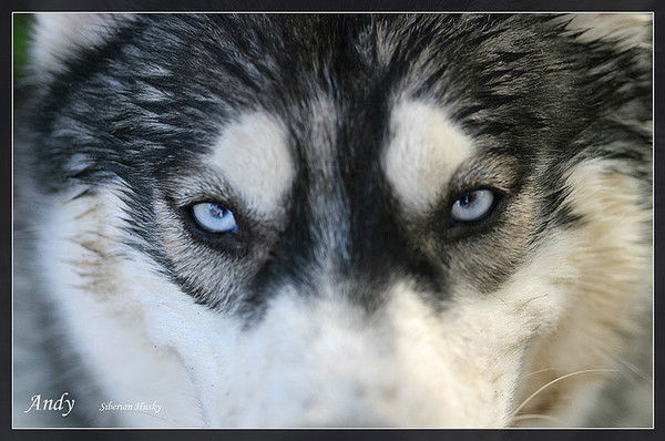 Женя Сережкин