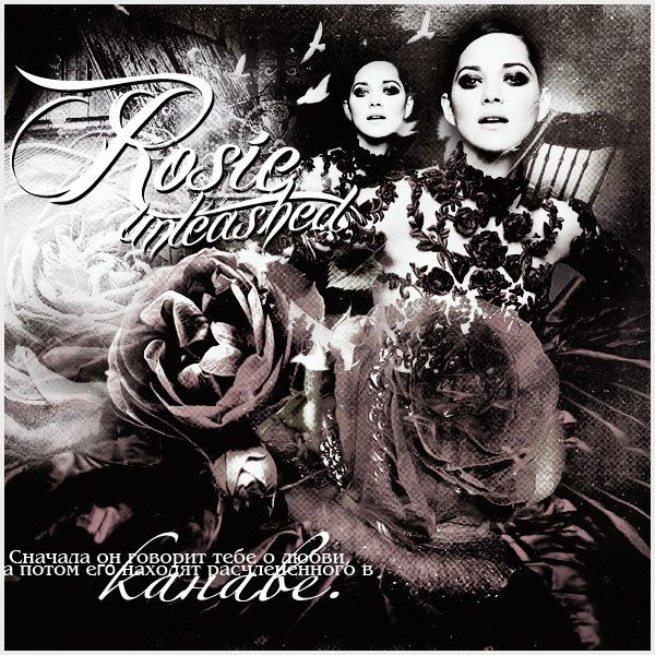 [Rosie`unleashed ]Beckett