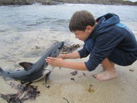 Даниил Барштейн