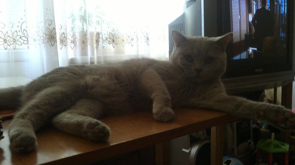 Татьяна Сарычева