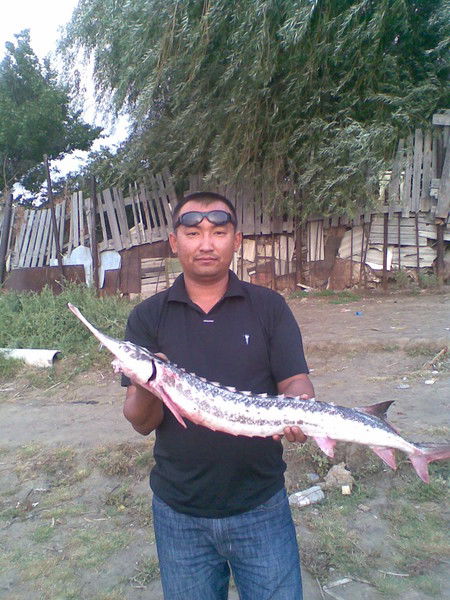 Альберт Умбеталиев