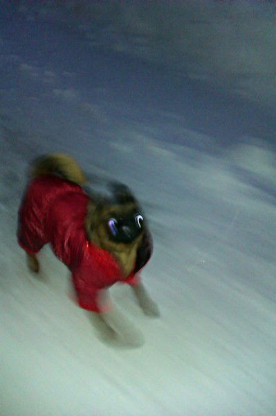 Рунар Гибазов