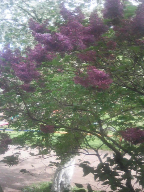 Анна Белова