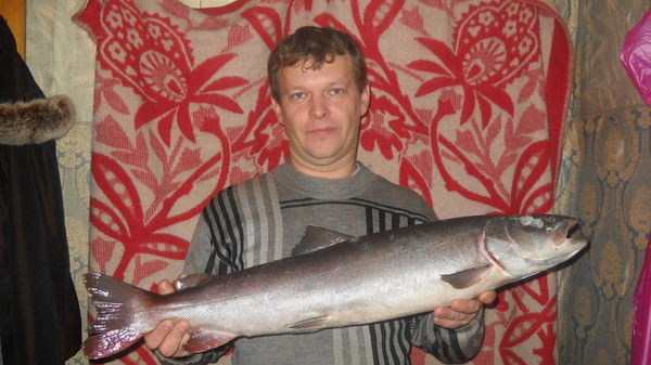 Дмитрий Поздняков