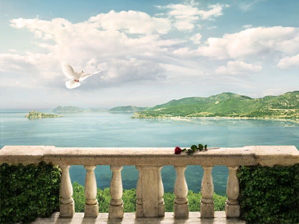 Света Шектибаева