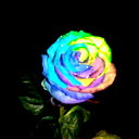 Idos/ ********