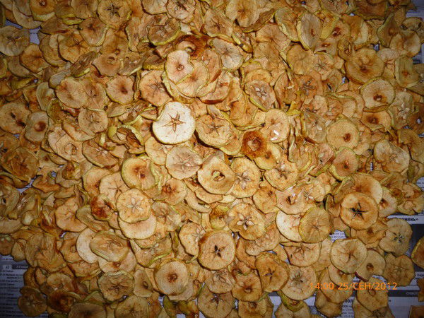 Галина Плотникова