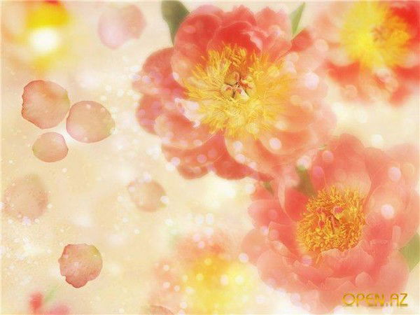 Марина Демченко