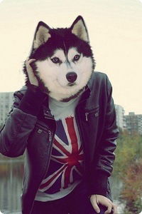 Владимир Кириченко