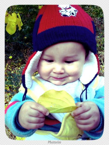 Дилдора Хошимова