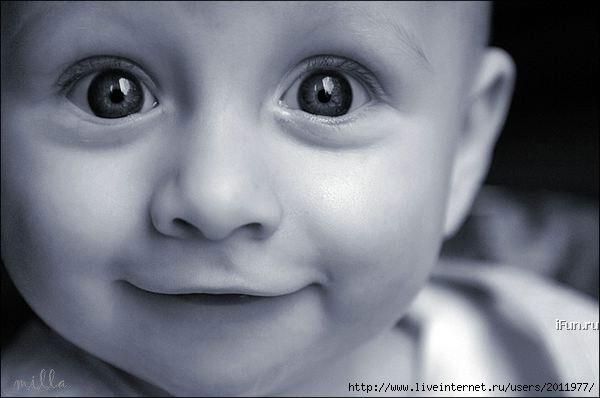 Светлана Беликова