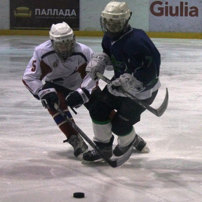 Анатолий Шаклеин