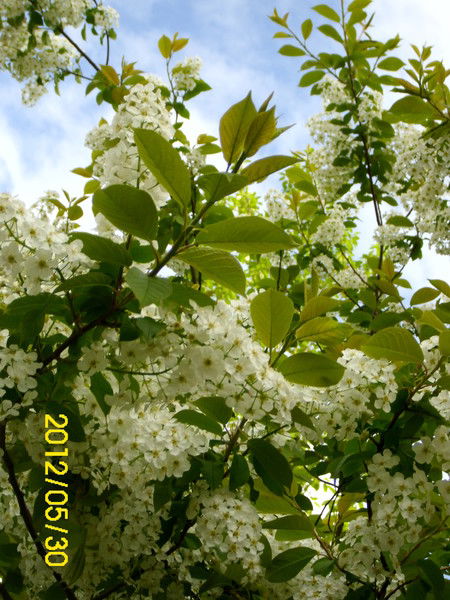 Марина Иванцюх