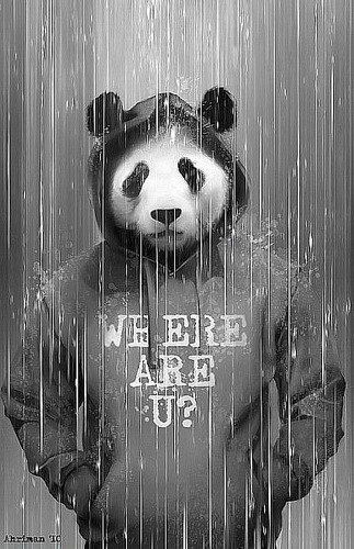 Вадим Гладких