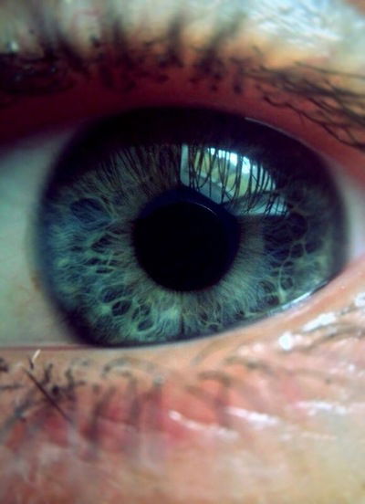 Энджи Львонч