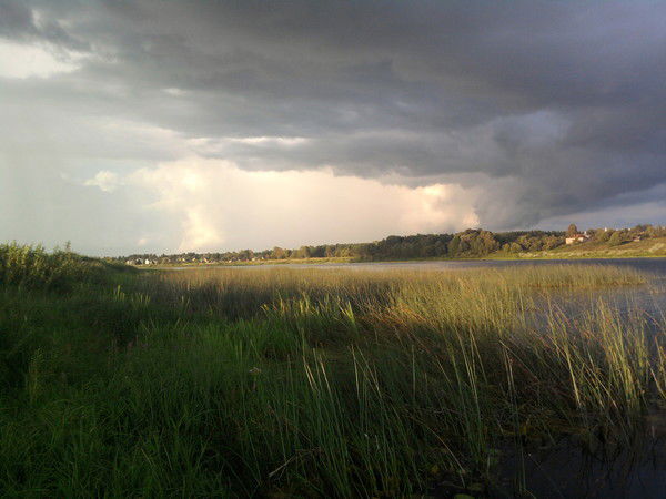 Оля Дмитриева