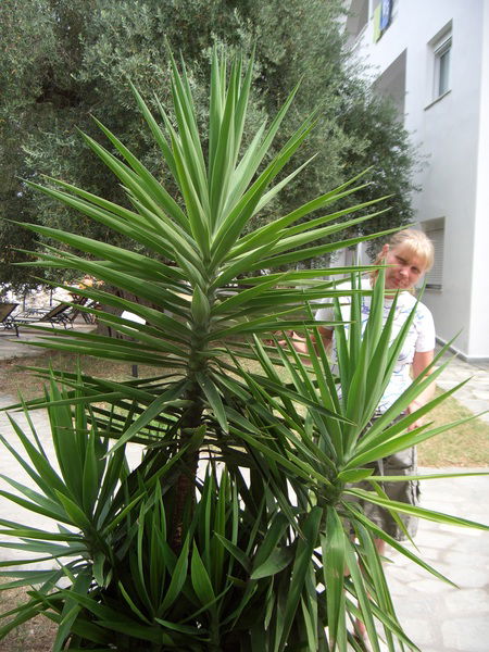 Яна Тухканен